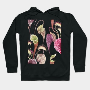 Exotic flowers, Carnivorous plants tropical print. Watercolor Pelican flower, Venus Flytrap Hoodie